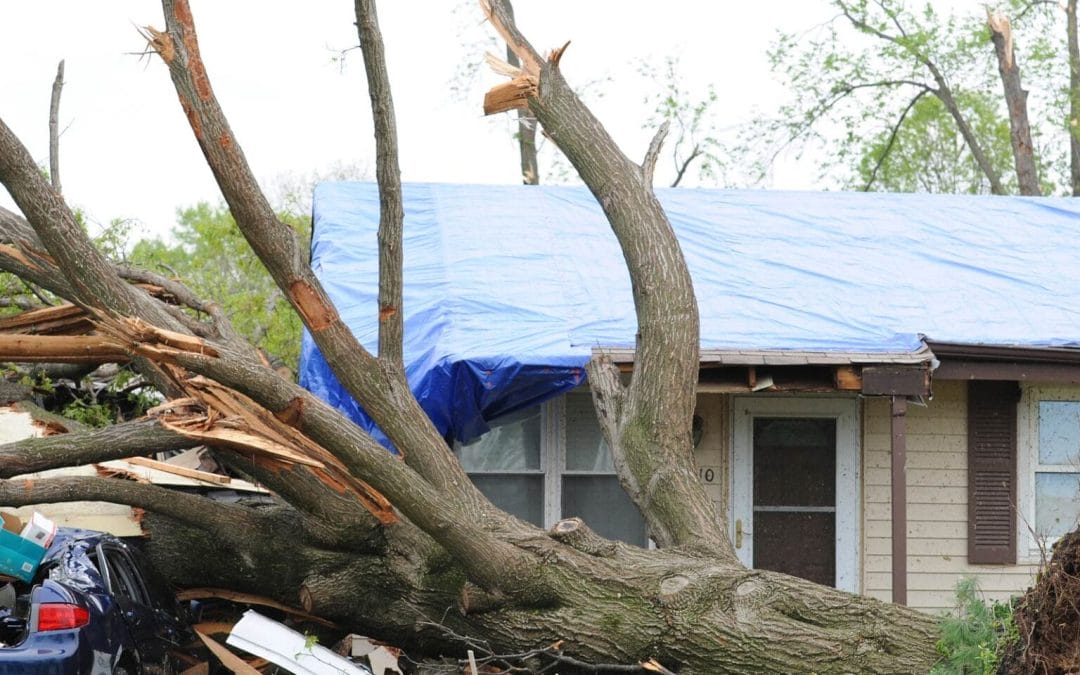 6 Steps to Take after a Storm Damages Your Roof in Midland